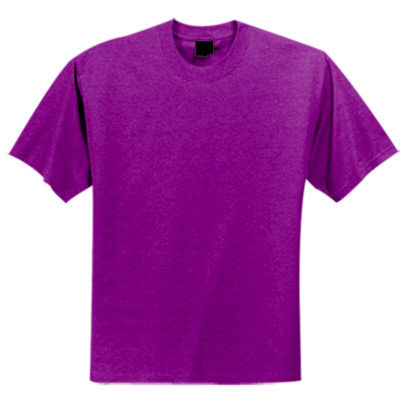 Alstyle Adult 6.0 oz., 100% Cotton T-Shirt Thumbnail